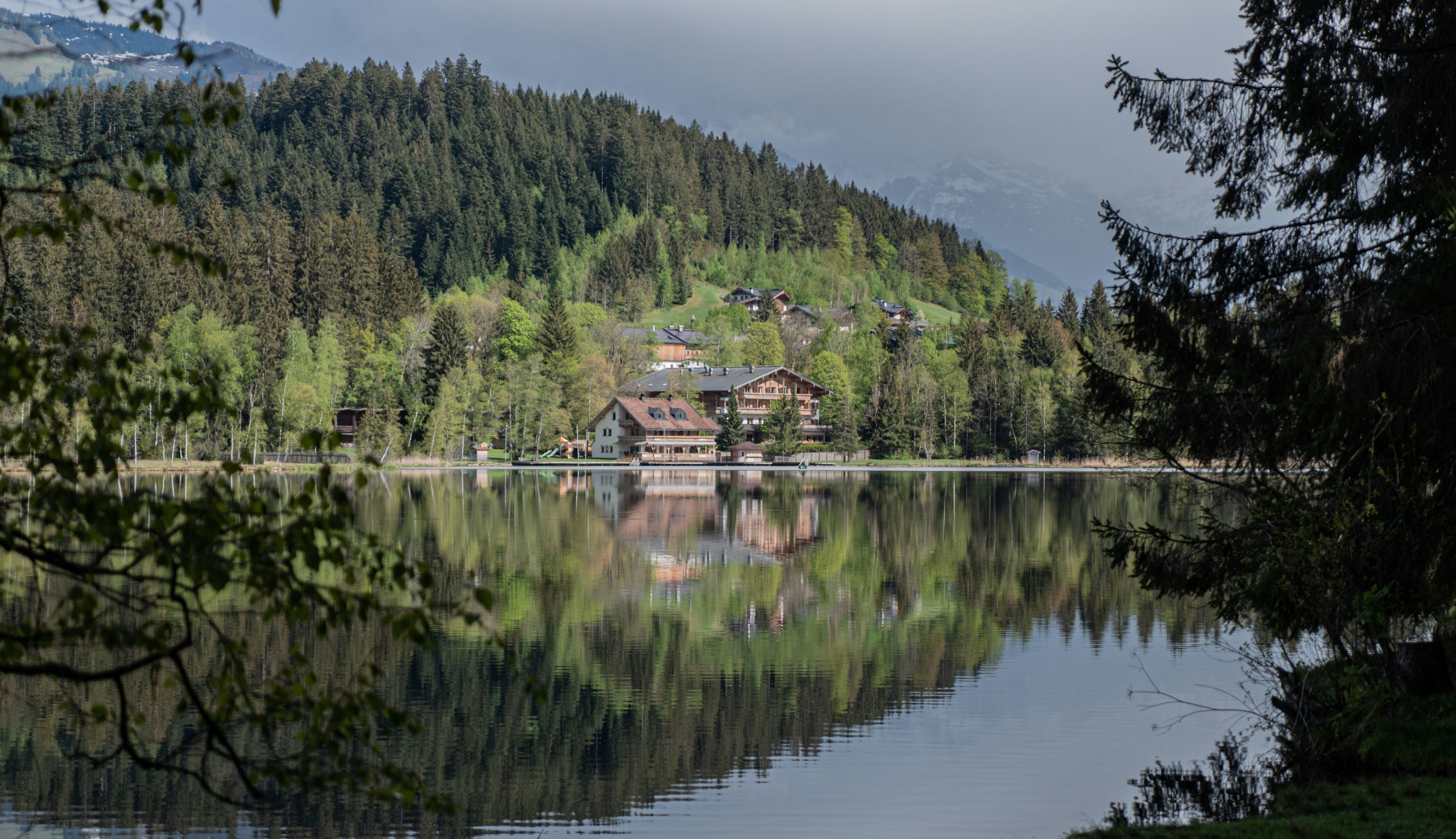 Photo by raphaelbernhart