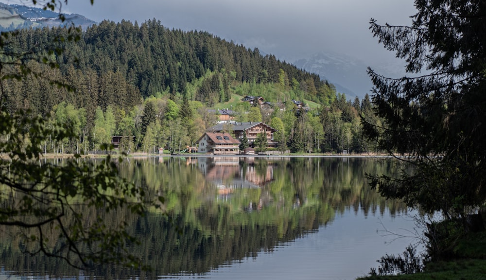 brown wooden house on green grass field near lake during daytime