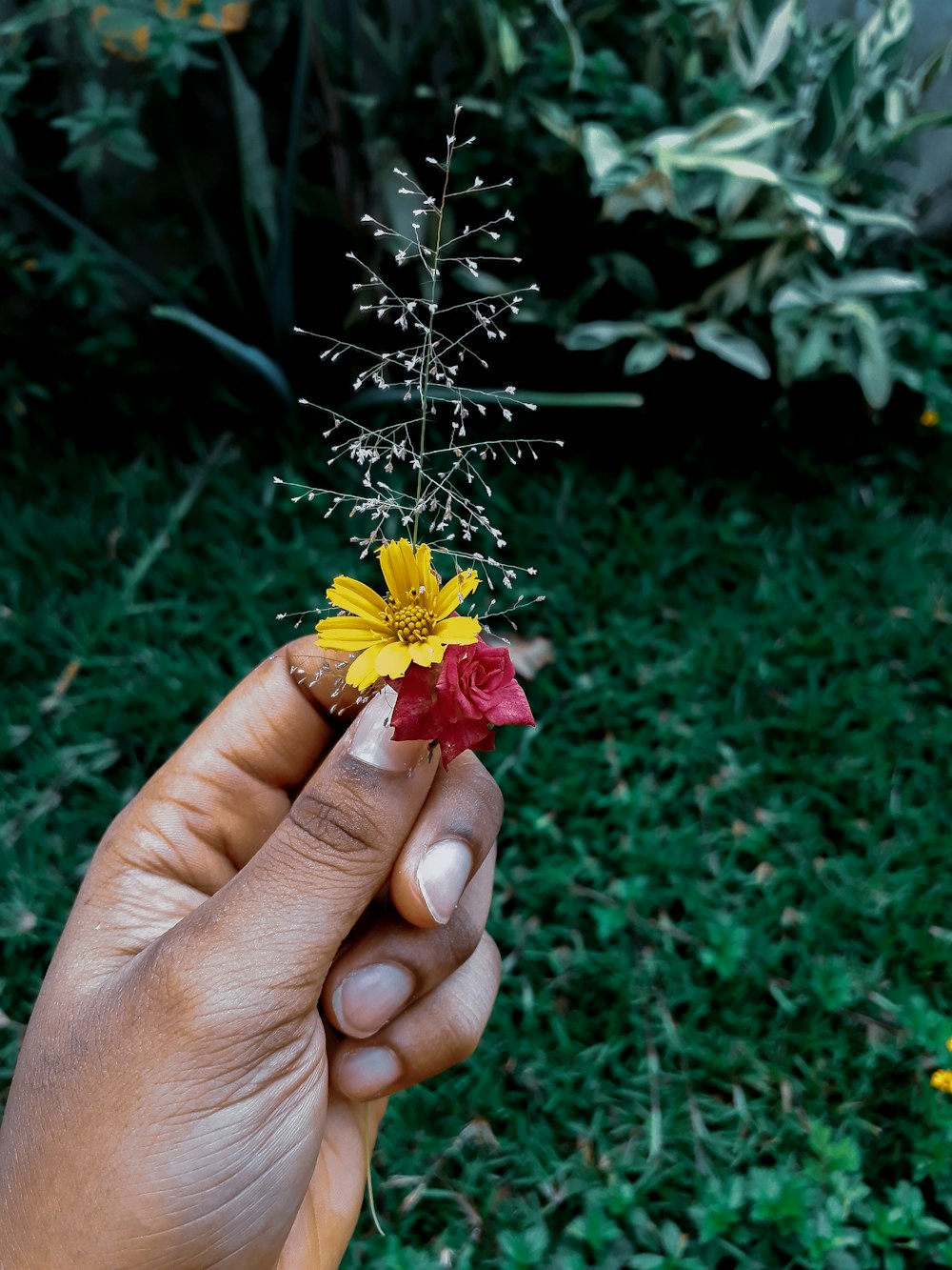 yellow and red flower in bloom during daytime