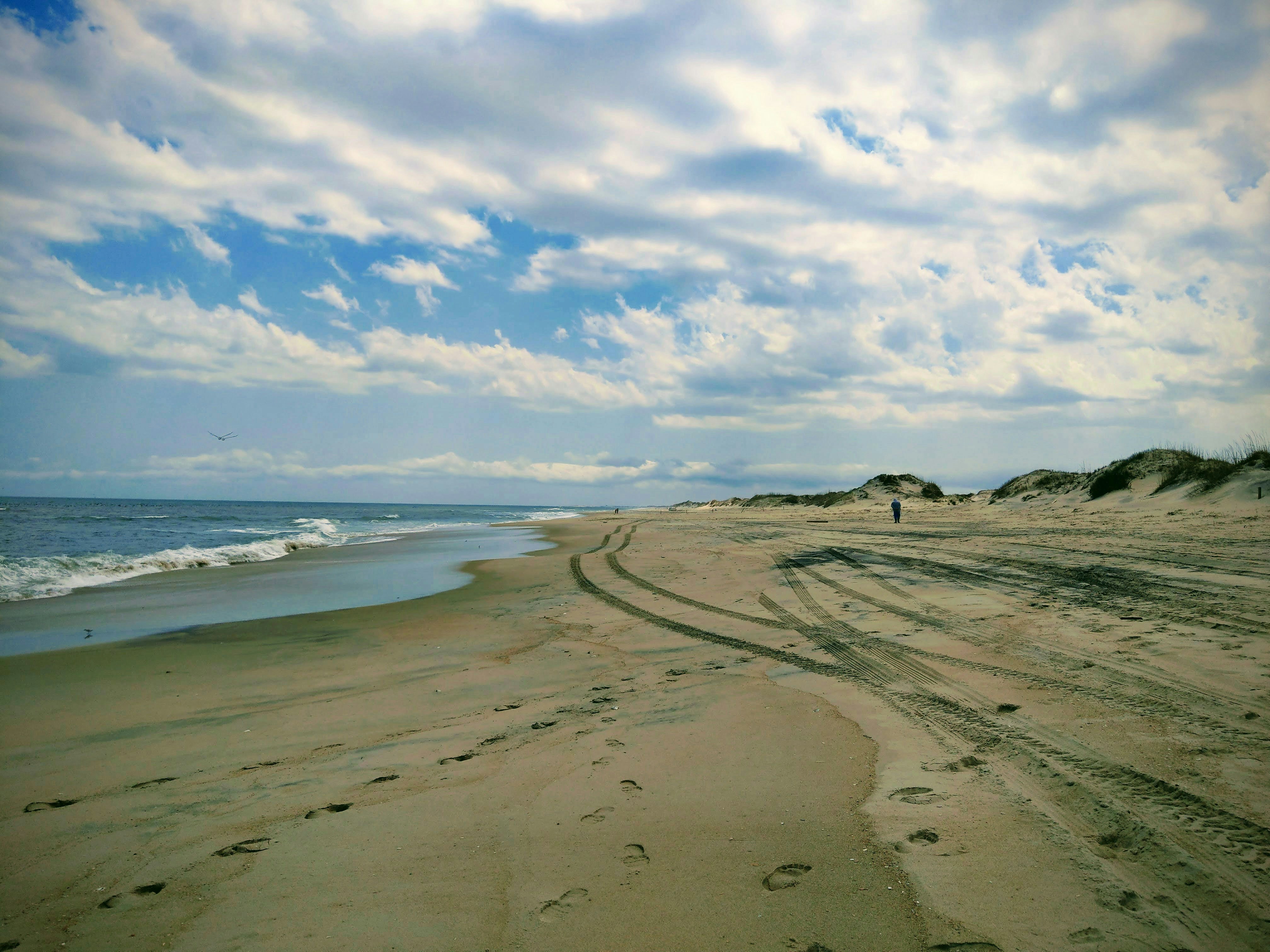 beach shore under blue sky during daytime