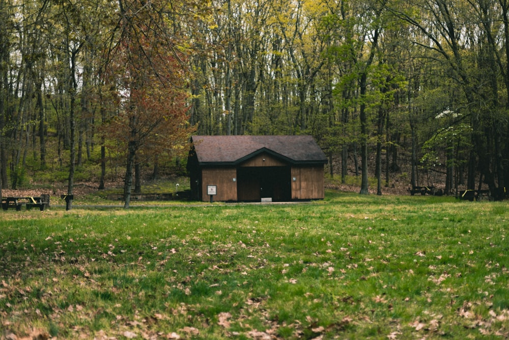 brown wooden house in the middle of forest during daytime