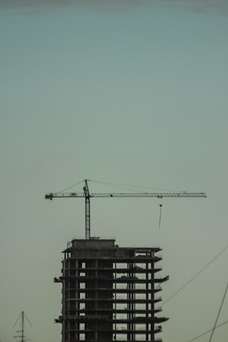black crane under blue sky during daytime