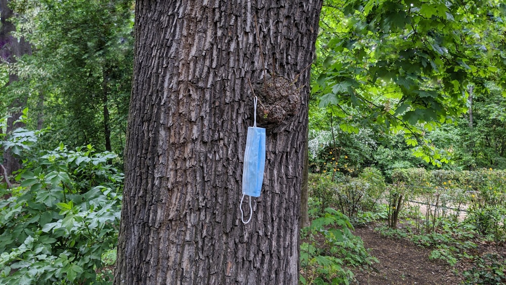 a blue piece of paper hanging from a tree