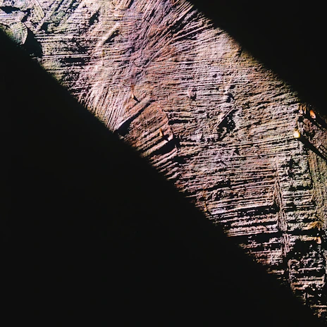 Close-up of a pen's wooden grain showing intricate natural patterns under soft light.