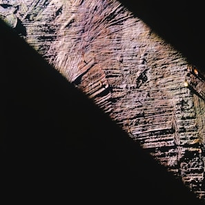 Detail of timber grain shining after cleaning, highlighting natural wood texture and color.