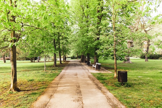 brown pathway between green trees during daytime in Maribor Slovenia