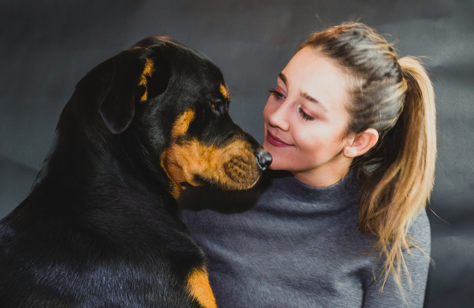 caring dog