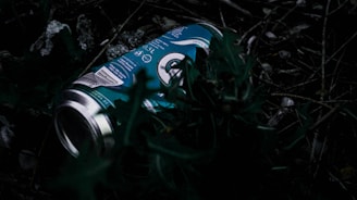 A discarded, crushed aluminum beverage can lies among dark, damp foliage and twigs on the ground. The can has a teal color with white and metallic accents, partially obscured by leaves.