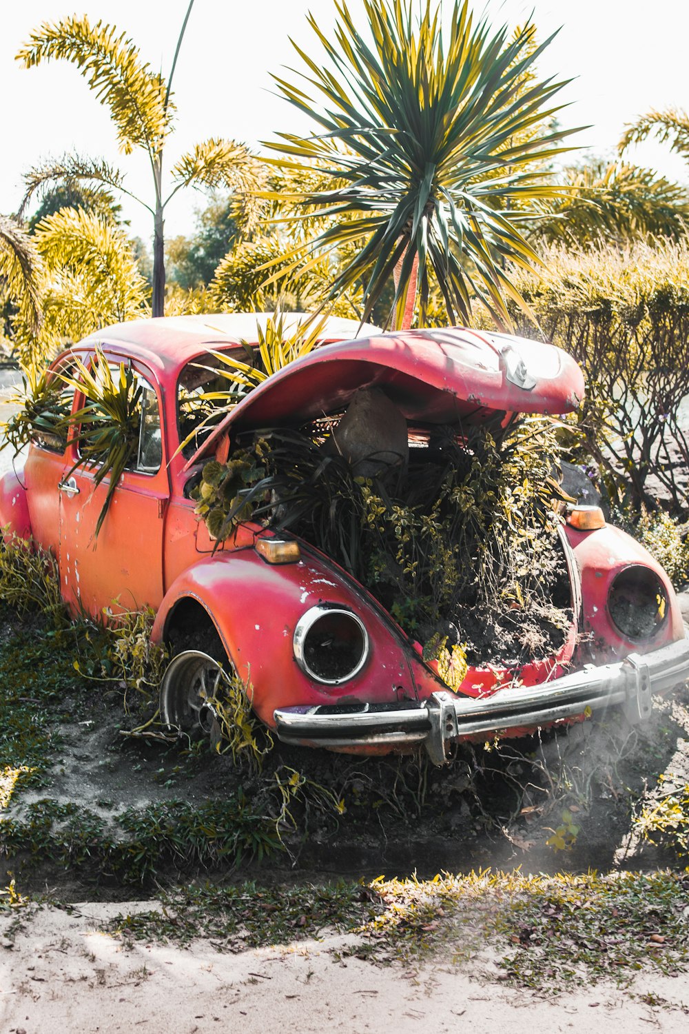 red and white vintage car