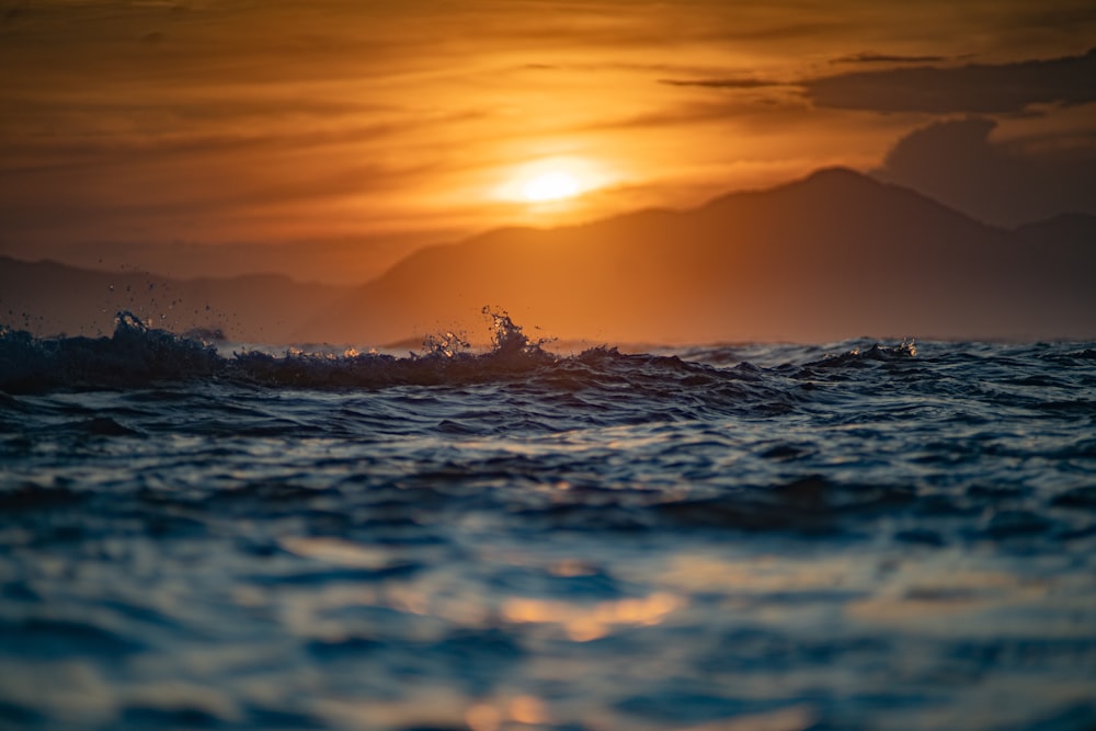 Silueta de la gente surfeando en el mar durante la puesta del sol