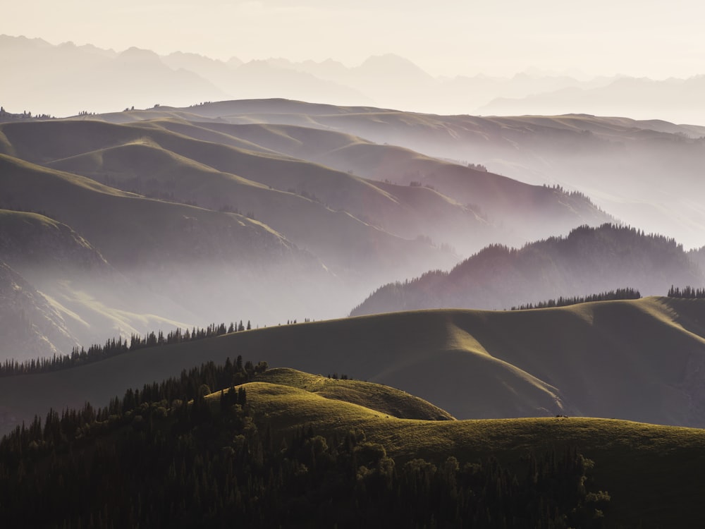 Champ d’herbe verte et montagnes pendant la journée