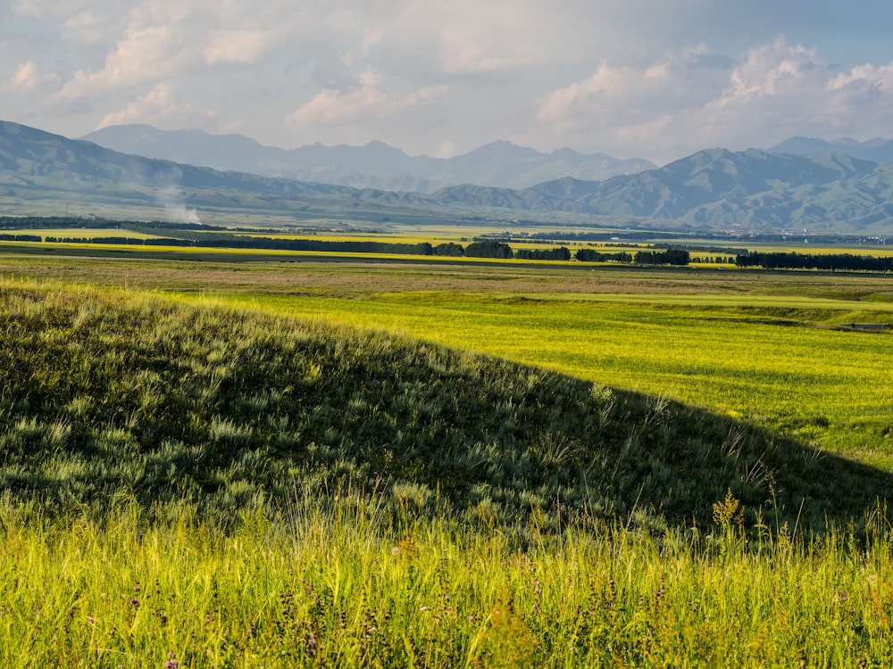 green grass field near mountain under cloudy sky during daytime