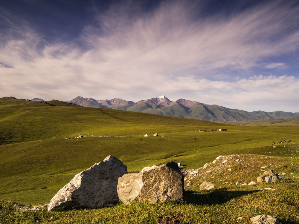 formazione rocciosa grigia sul campo di erba verde sotto il cielo nuvoloso grigio durante il giorno