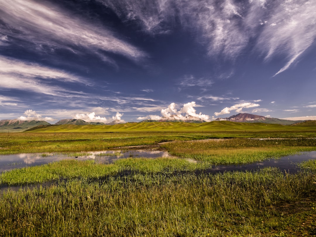 green grass field under blue sky and white clouds during daytime