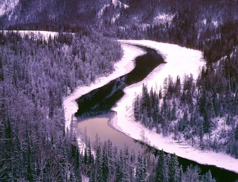 grayscale photo of river between trees