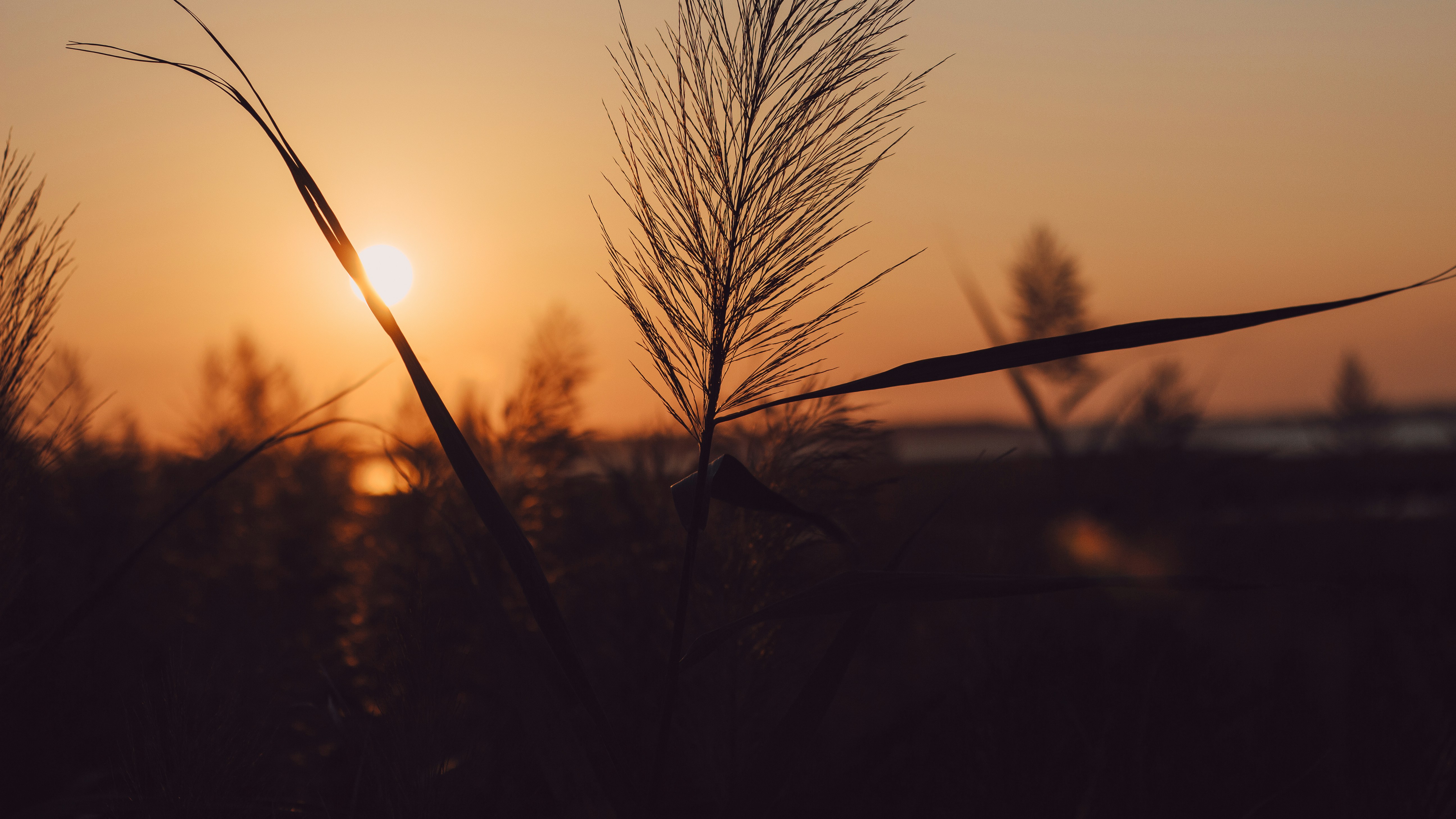 Photo by chrishardyphotography