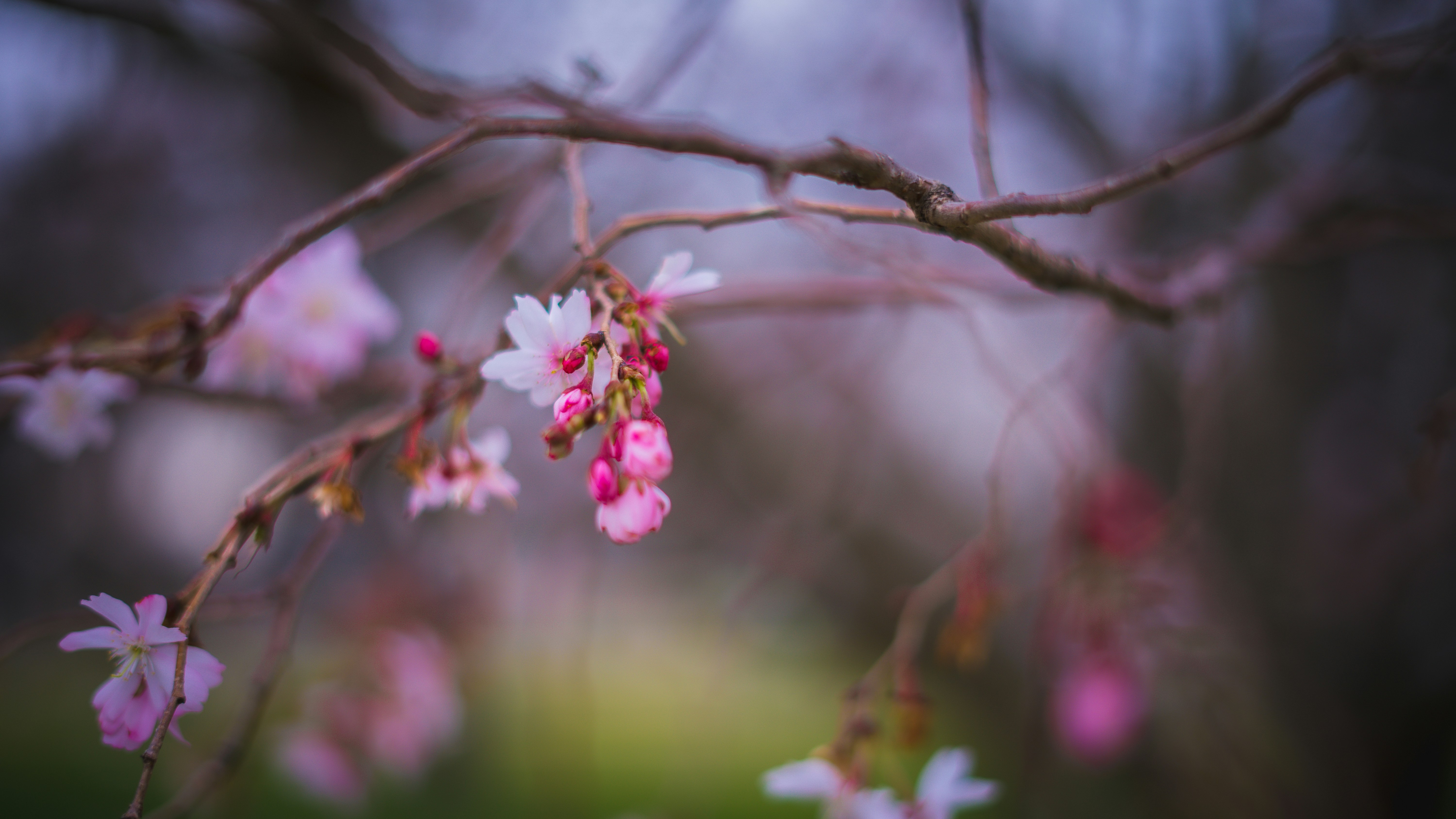 Photo by chrishardyphotography