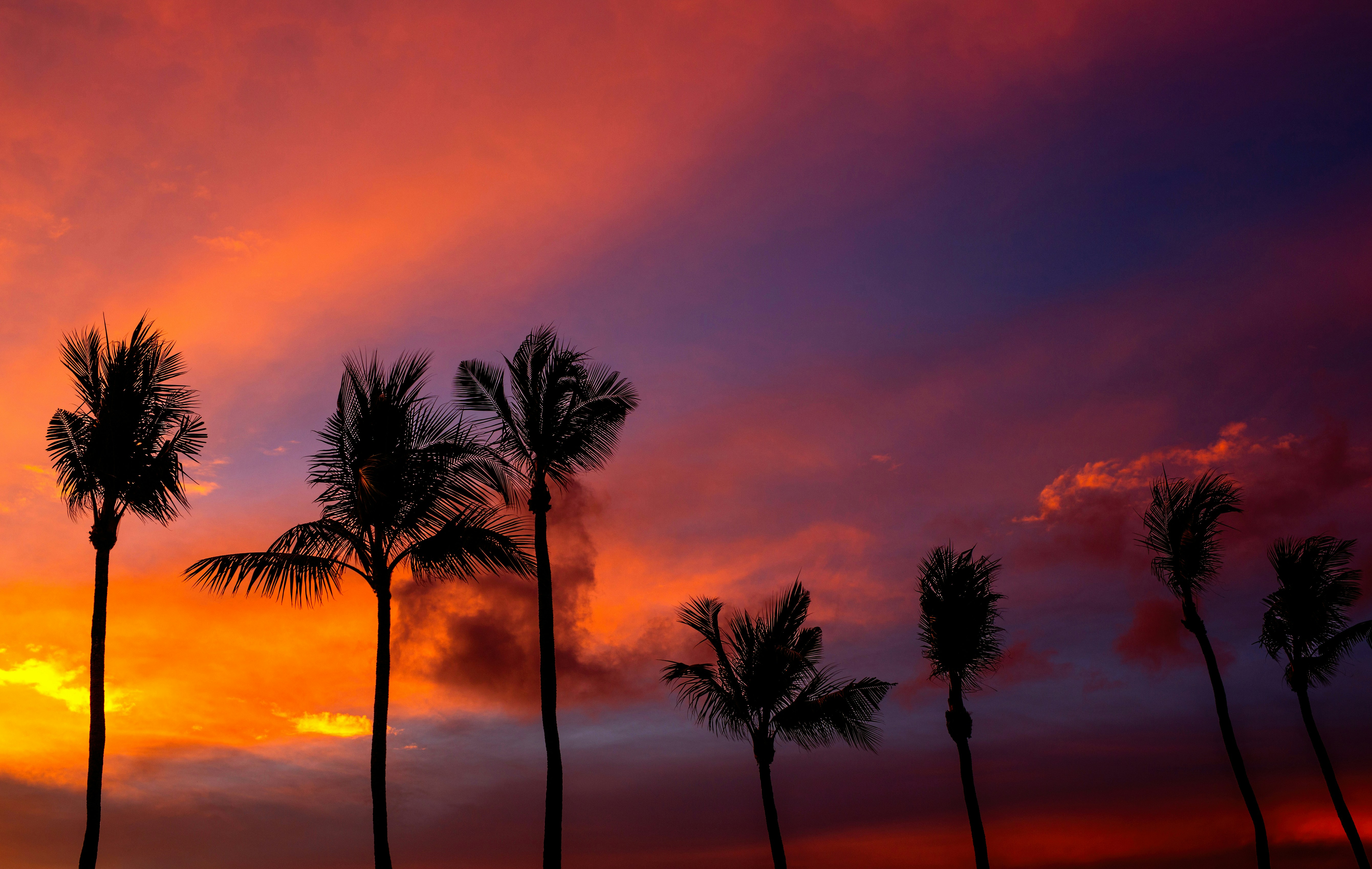 Photo by vinomamba24