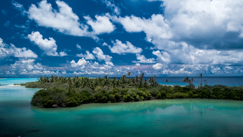 green trees near body of water under blue and white cloudy sky during daytime