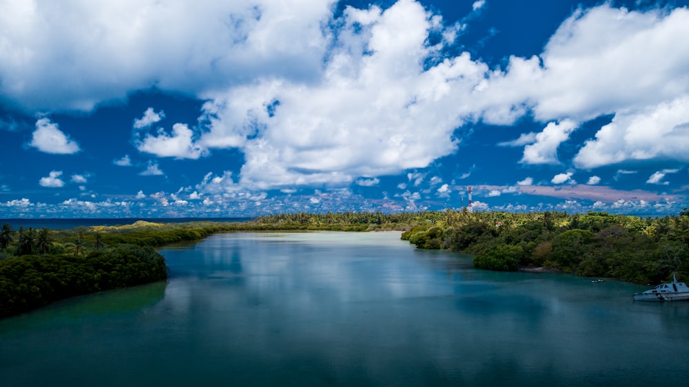 green trees beside river under blue sky and white clouds during daytime