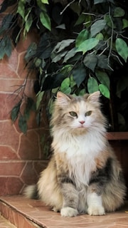 A fluffy cat with a mix of white, grey, and brown fur sits on a tiled floor next to a wall with a pattern resembling brickwork. Behind the cat, there is a lush arrangement of various green leaves, giving the appearance of a natural setting.