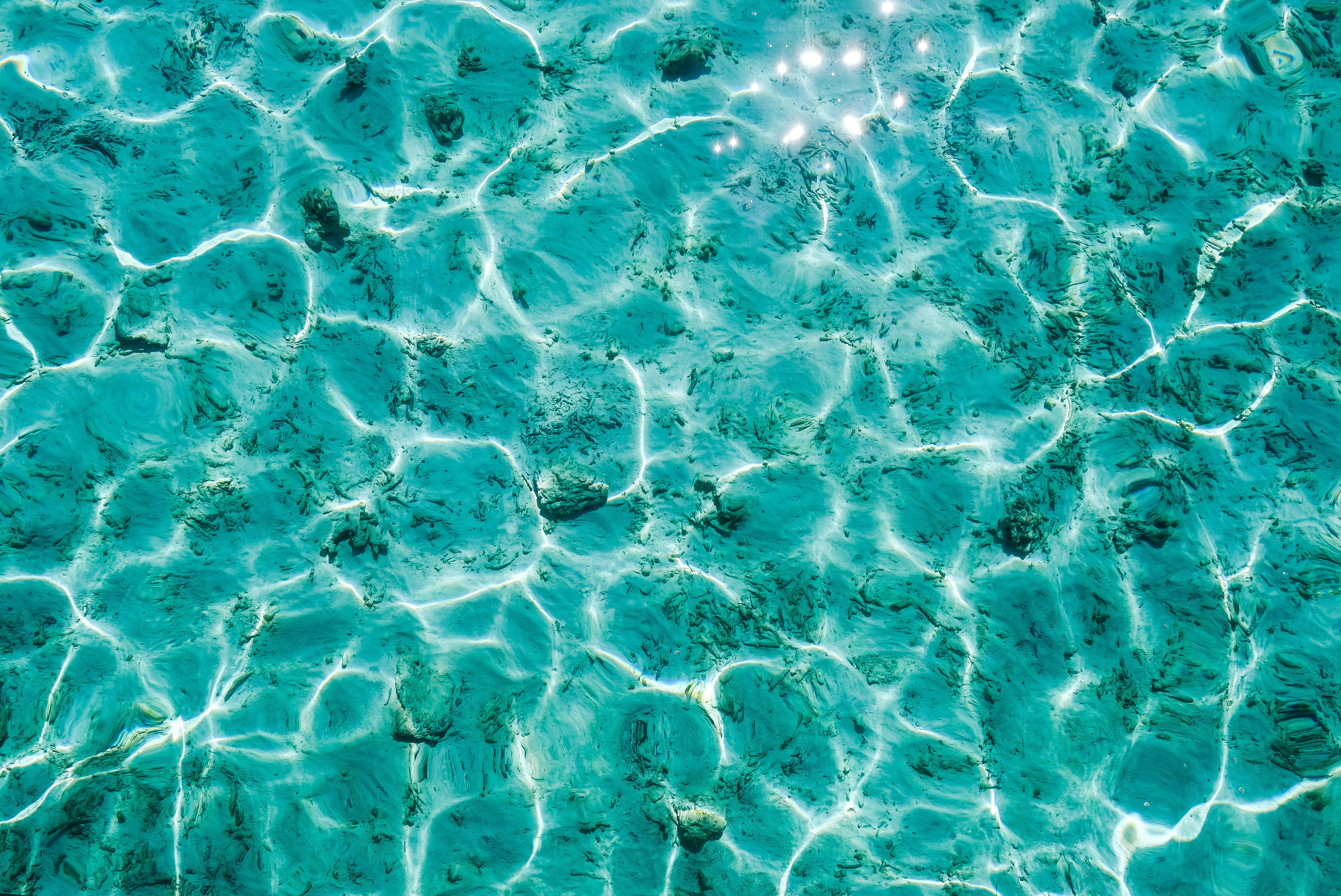 orange and white abstract painting