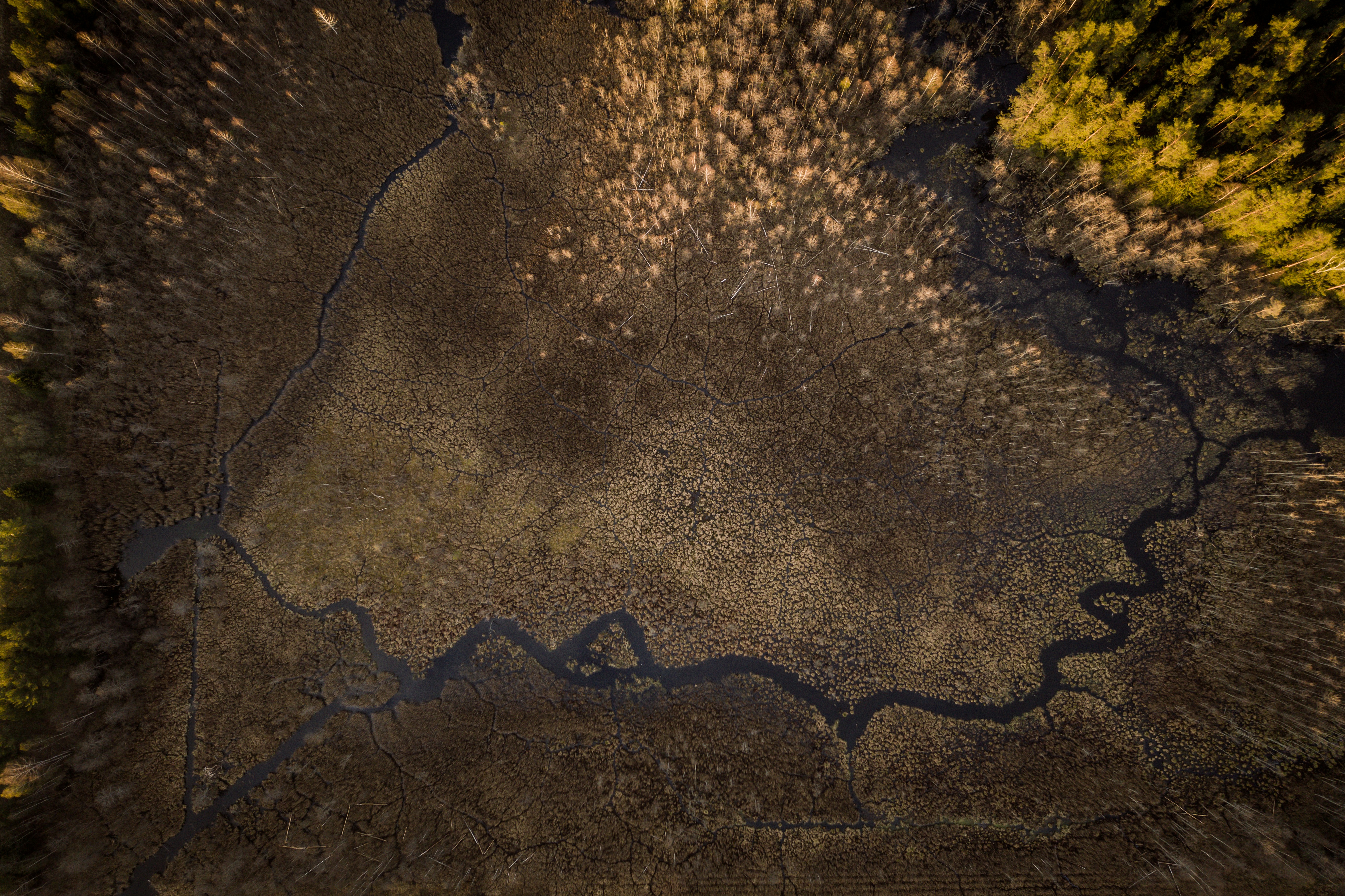 brown sand with heart shaped shadow