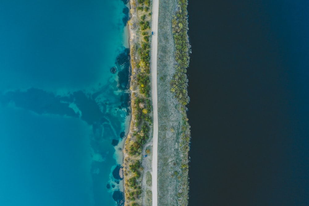 aerial view of green trees and blue water