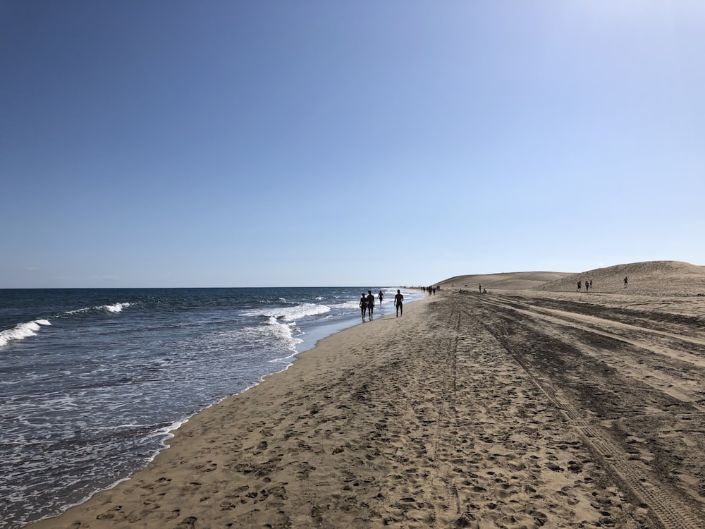 people walking on beach shore during daytime