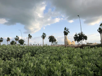 A serene blend of lush Jambi palm plantations merging with a modern pharmaceutical lab setting.