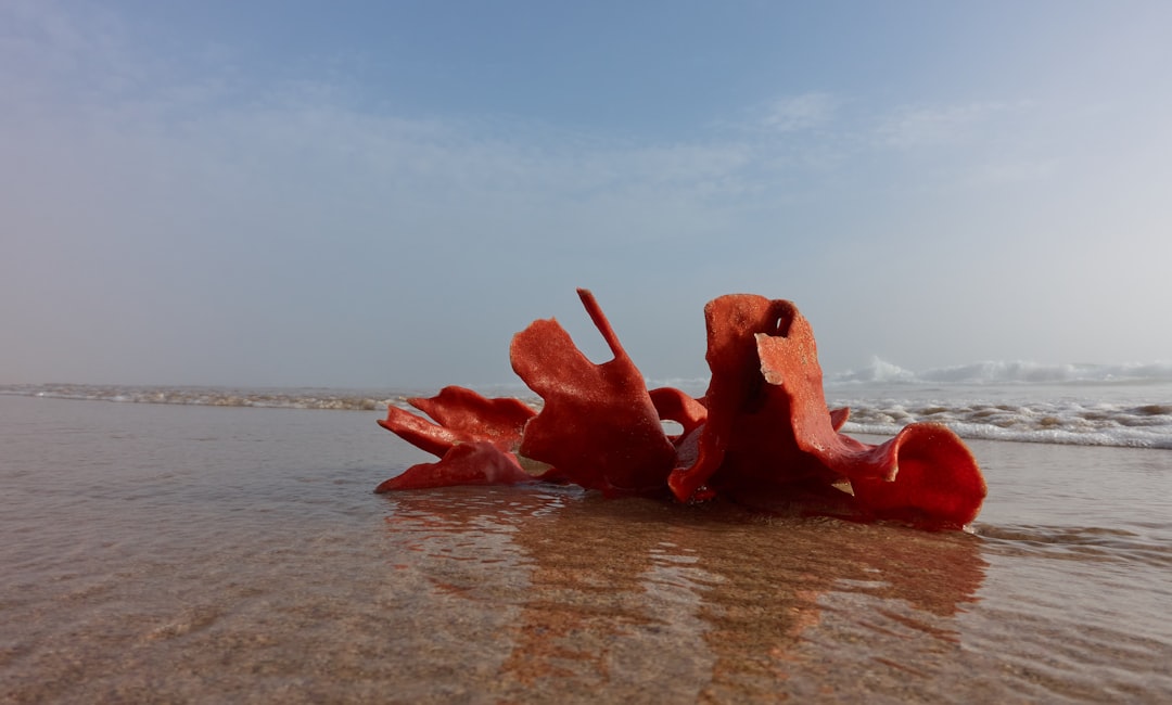 red plastic frames on brown sand during daytime