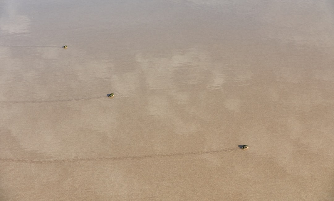 aerial view of boat on sea during daytime