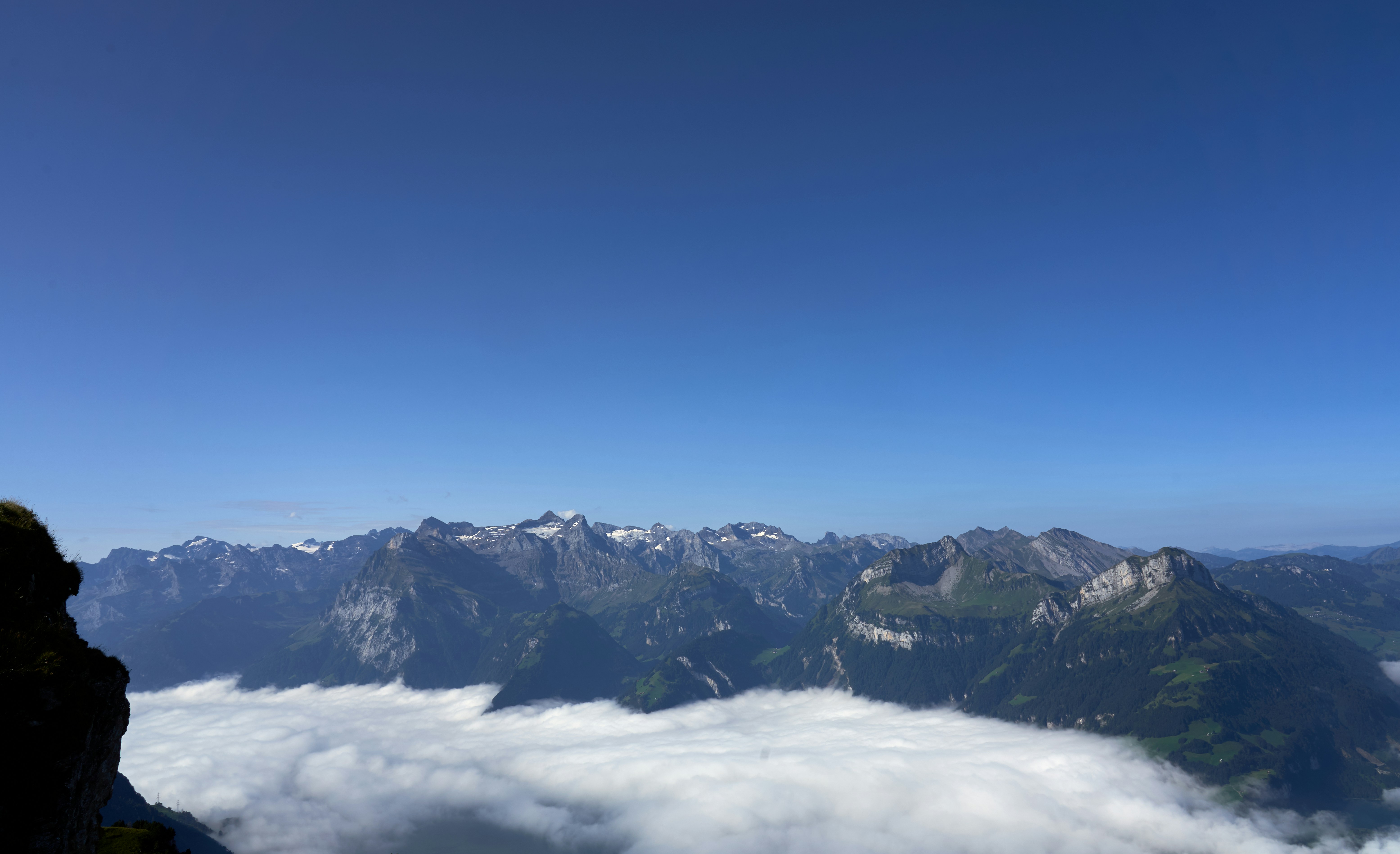 Photo by wolfgang_hasselmann