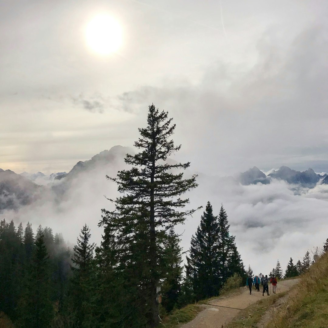 travelers stories about Hill station in Neuschwanstein Castle, Germany