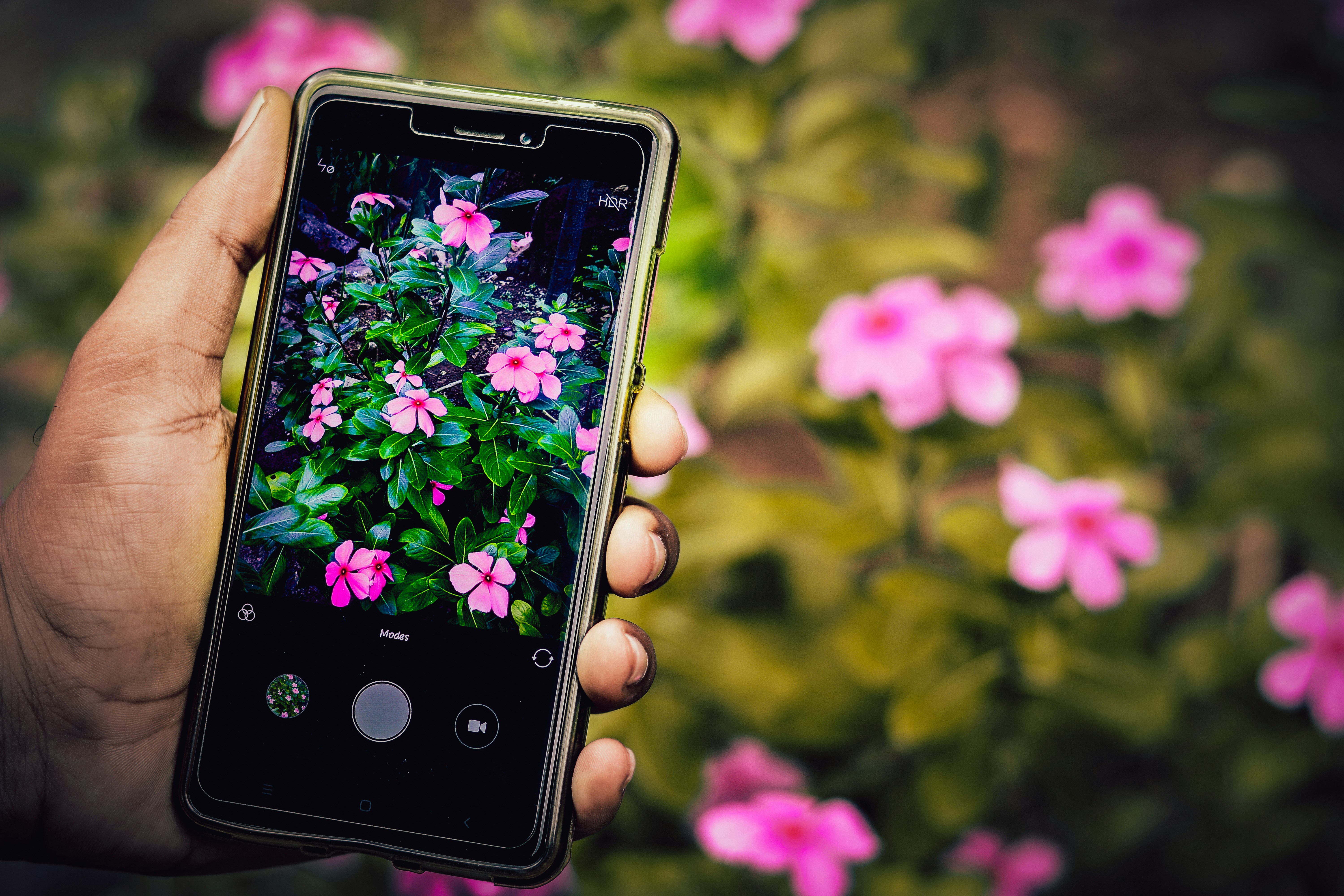 What Should You Post: Reels, Stories, or Feed