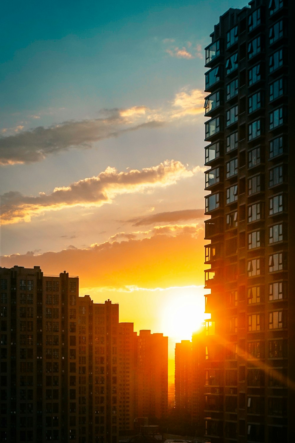 silhouette of high rise buildings during sunset