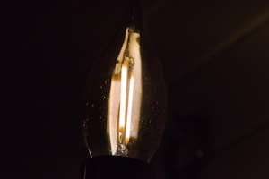 LED Light Bulb