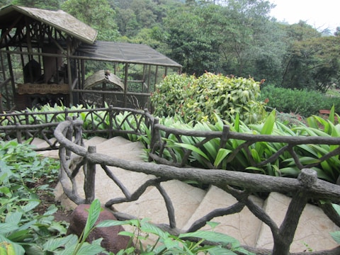 A natural setting featuring a winding stone pathway with rustic wooden railings surrounded by lush greenery and tropical plants. In the background, a structure resembling a wooden animal enclosure or observation deck is visible, with a sign that reads 'Monkey Pass.' The area is dense with various shades of green foliage, providing a serene and inviting atmosphere.