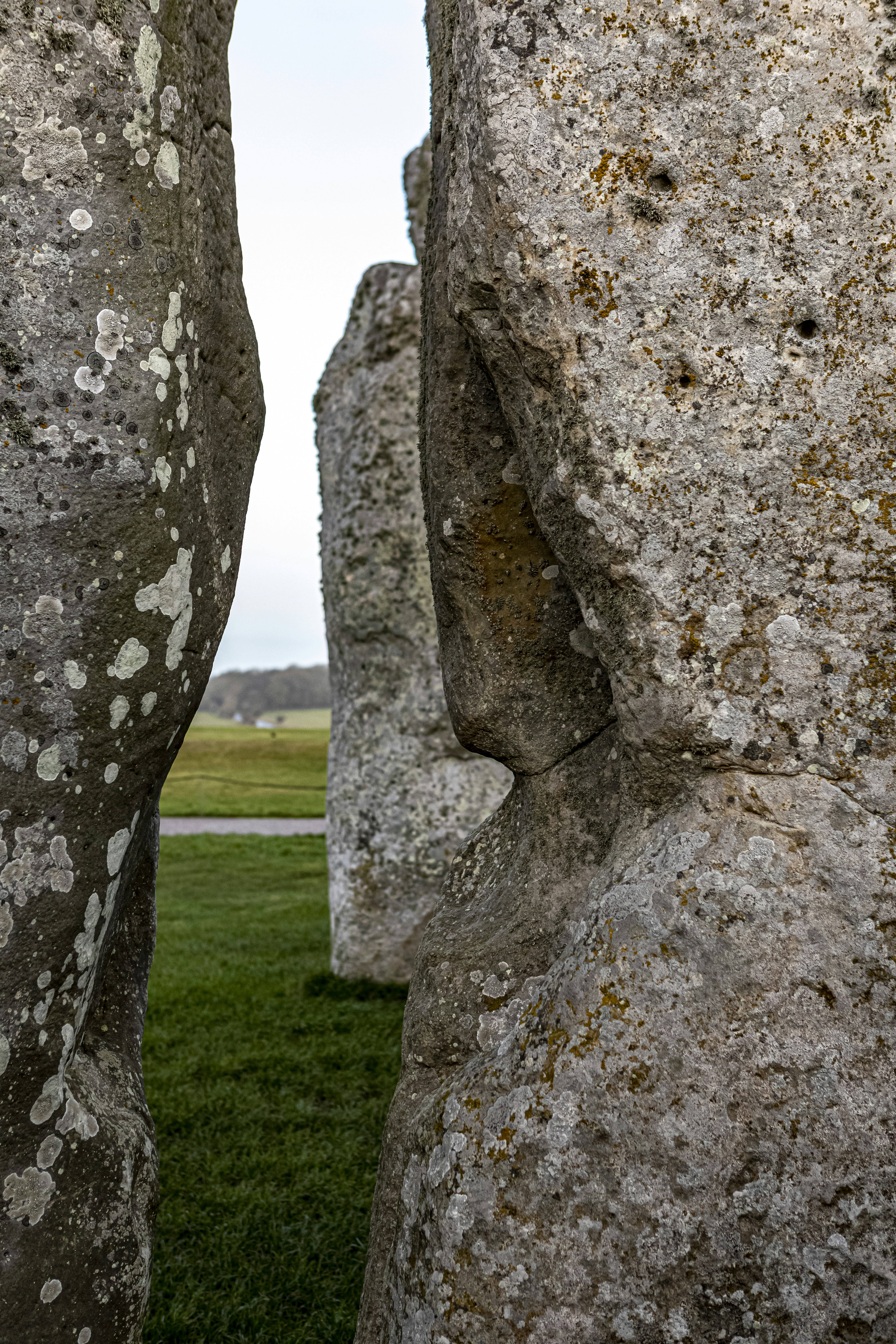 formazione rocciosa grigia sul campo di erba verde durante il giorno