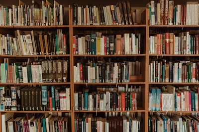 brown wooden book shelf with books