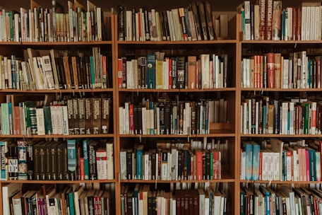 brown wooden book shelf with books