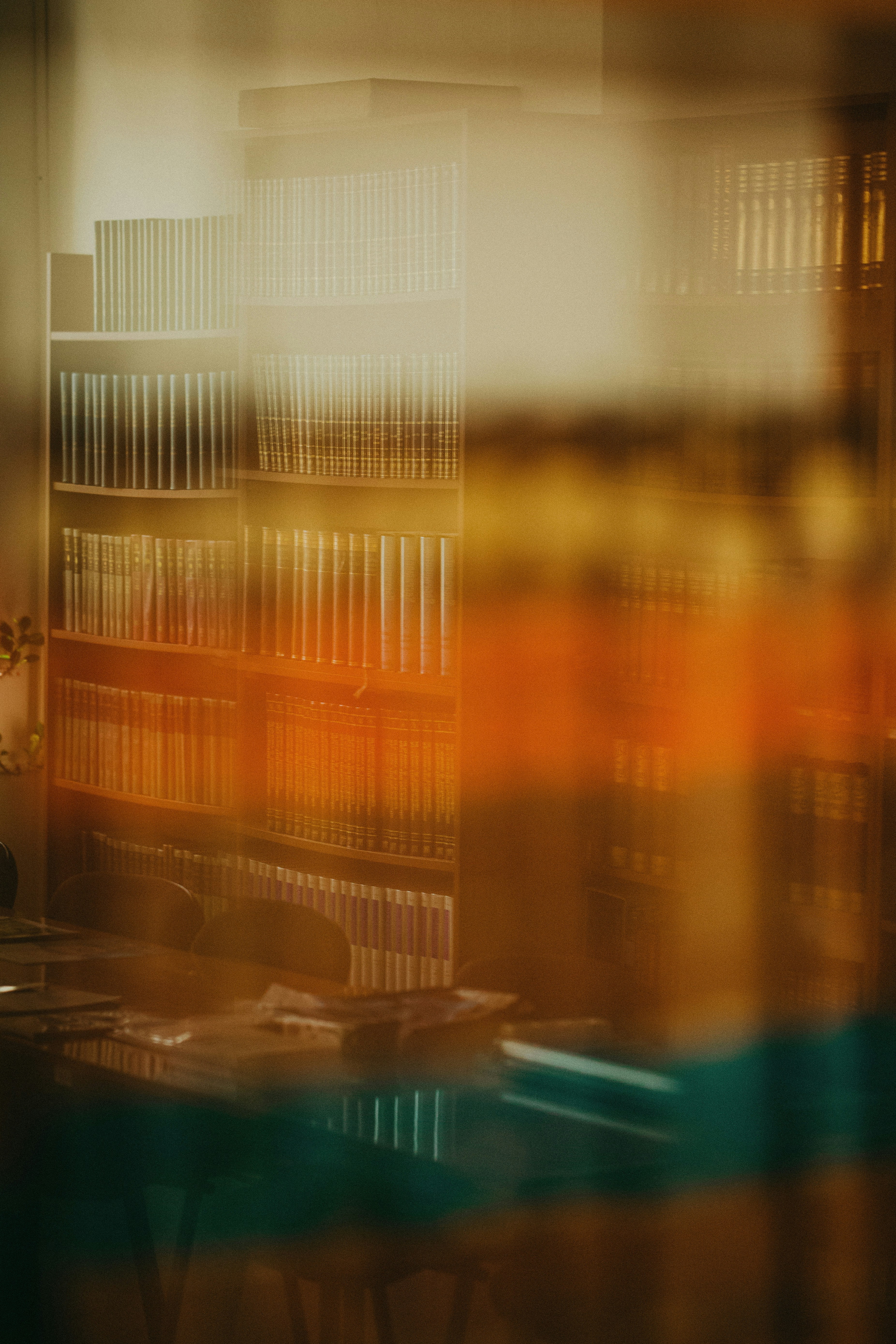 Photo by trnavskauni