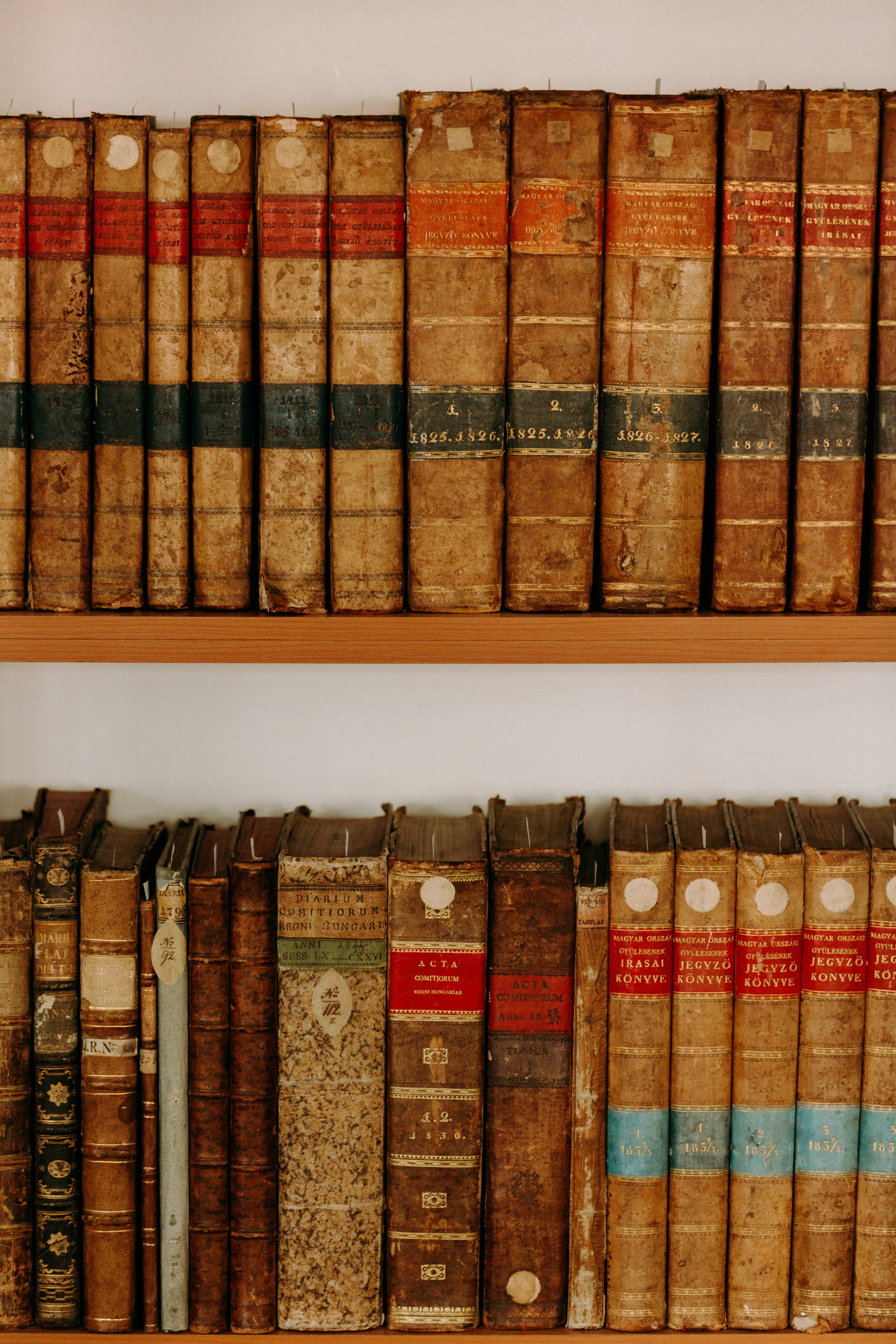 Photo by trnavskauni