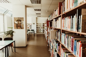 books on shelves in library