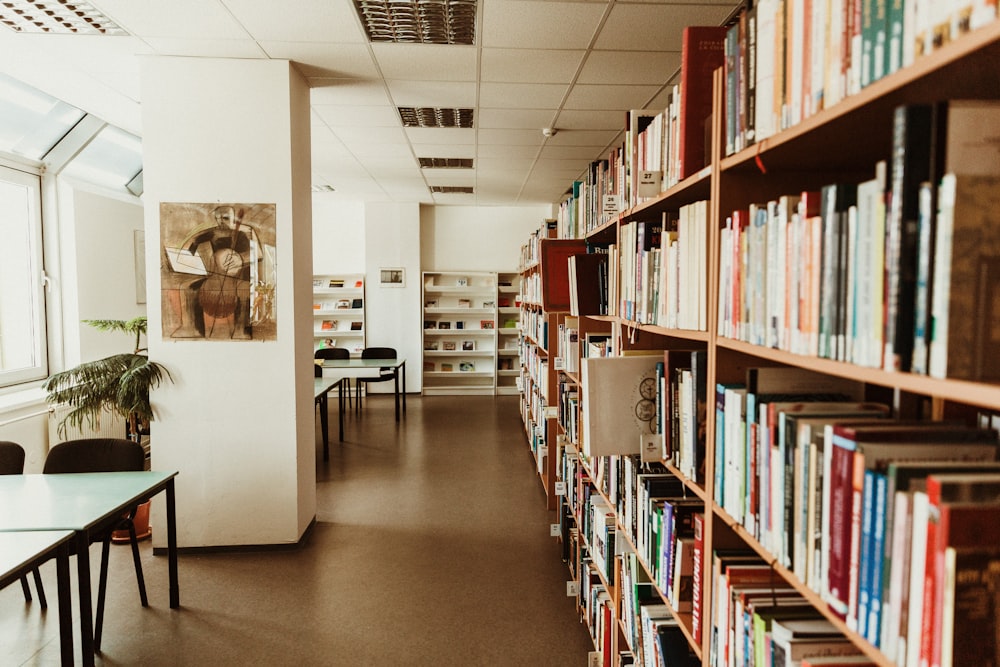 Livres sur les étagères de la bibliothèque