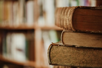 brown wooden book shelf in tilt shift lens