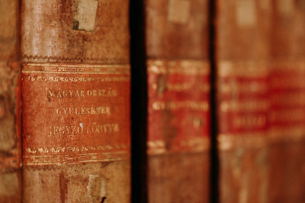 brown and red hardbound books