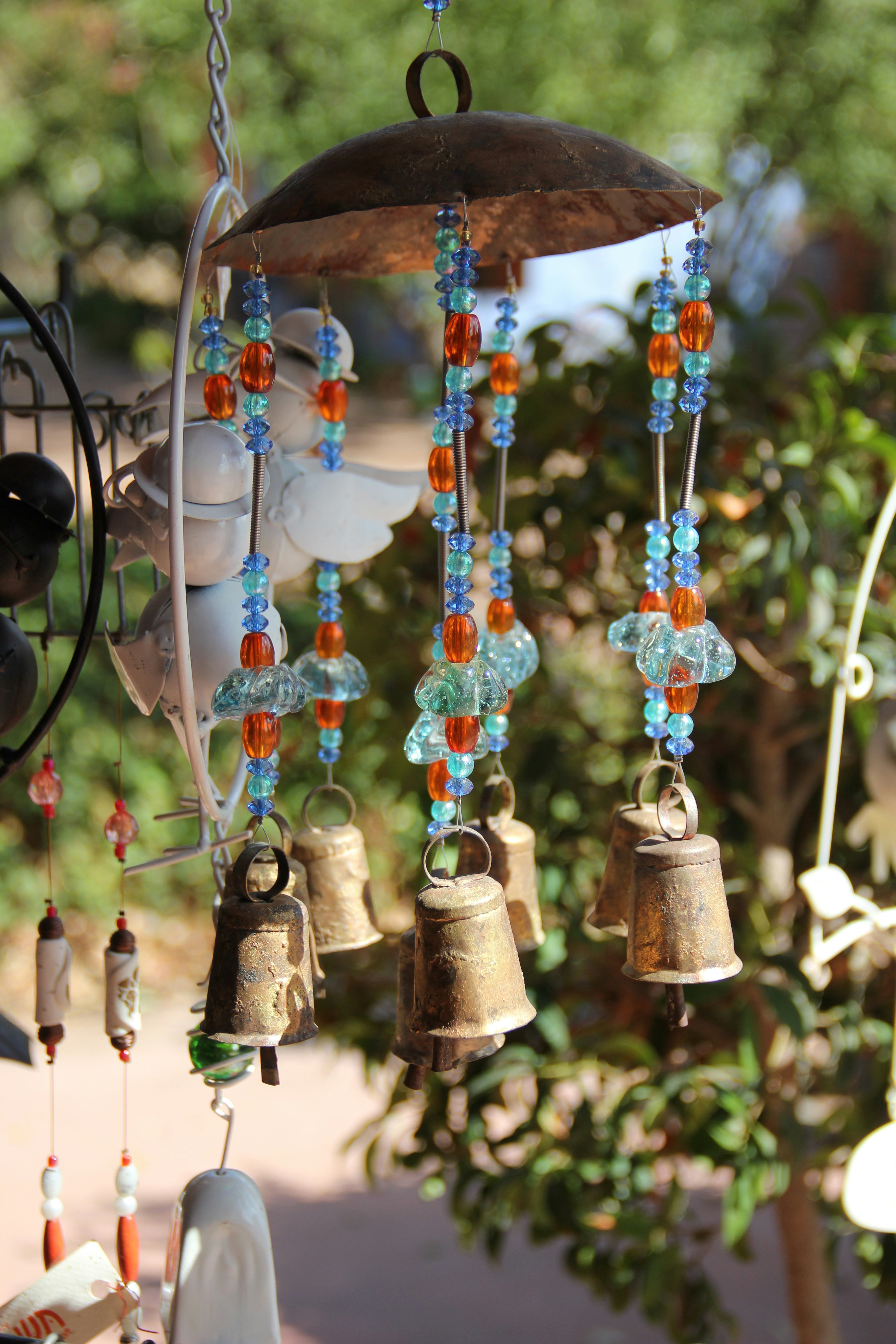 Photo by shalevcohen