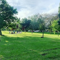 people on green grass field surrounded by green trees under white clouds during daytime