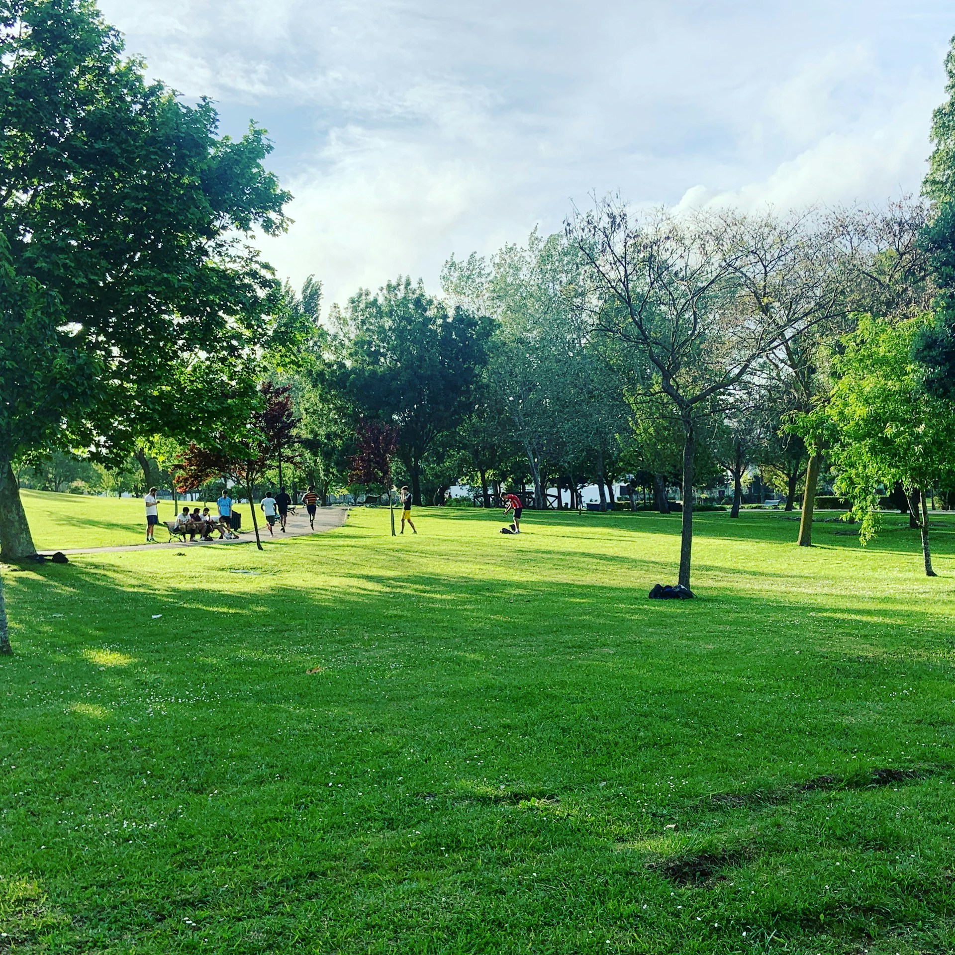 people on green grass field surrounded by green trees under white clouds during daytime